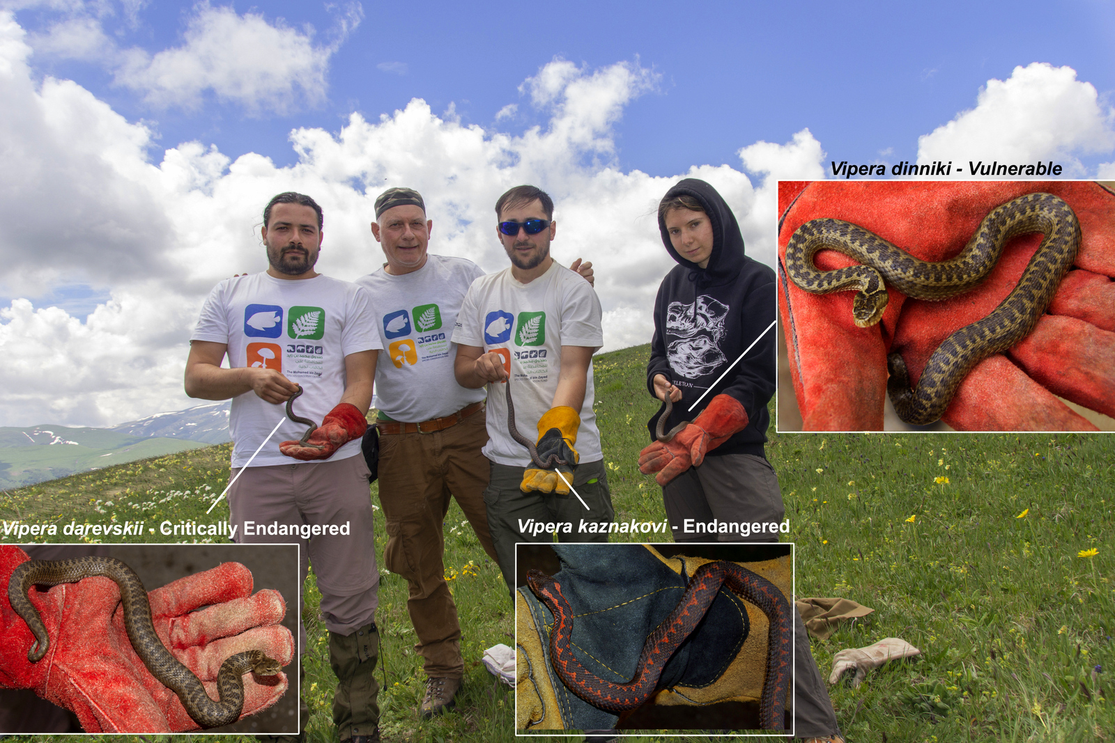 Team members (r l) Merk Karis KonradMebert GiorgiIankoshvili AlisaSanakoeva